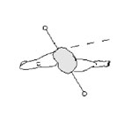 Pelvic Rotation